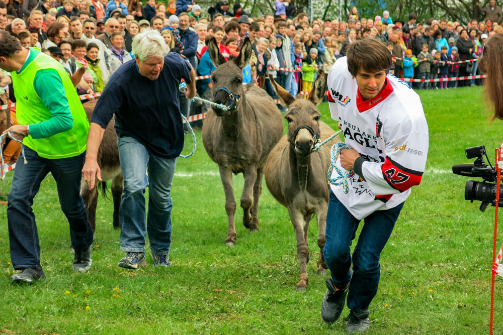 Eselrennen 2013